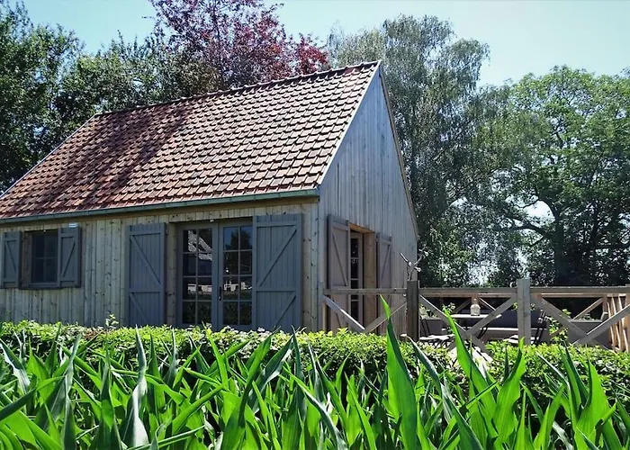 La Cabane Du Cerf Et Son Sauna